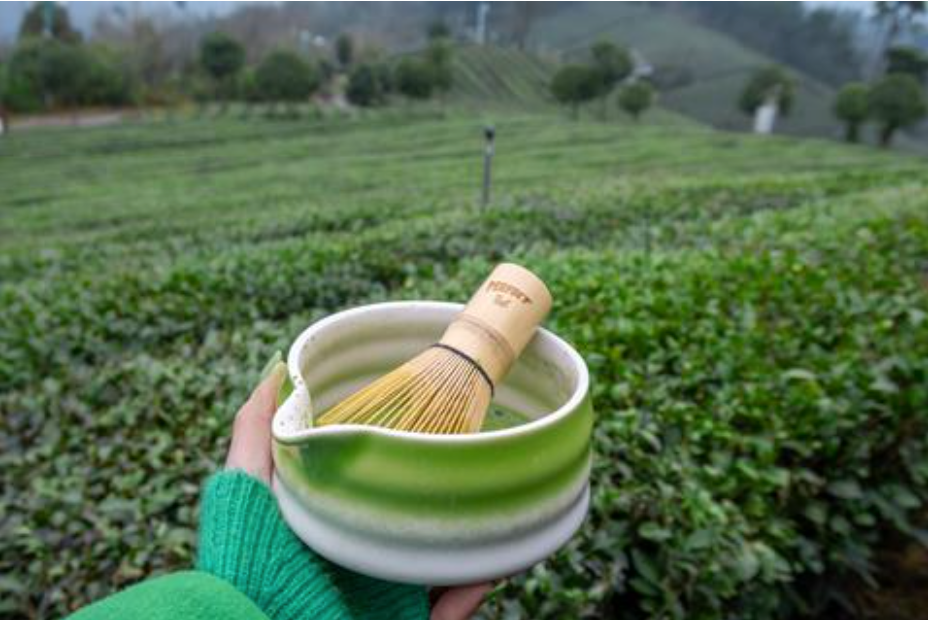 Matcha 2026: Still a Hype or Here to Stay?