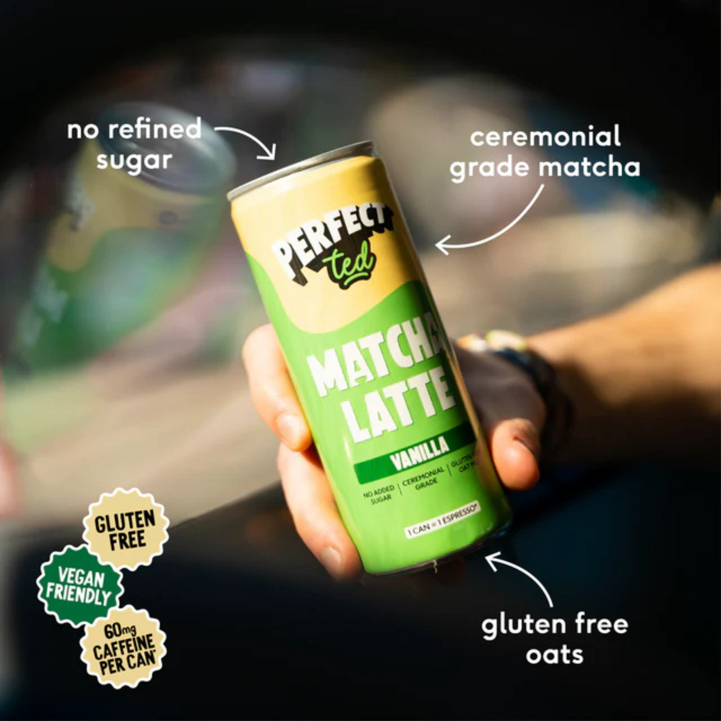 PerfectTed - Matcha Latte - Vanilla - 12x
